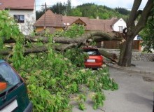 Kwikfynd Tree Cutting Services
burnsideqld